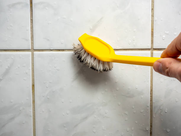 Best Mold Remediation for Schools in South Blooming Grove, NY