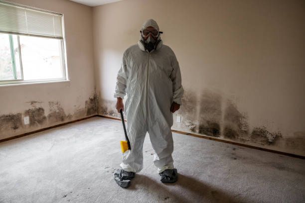 Best Industrial Mold Remediation in South Blooming Grove, NY